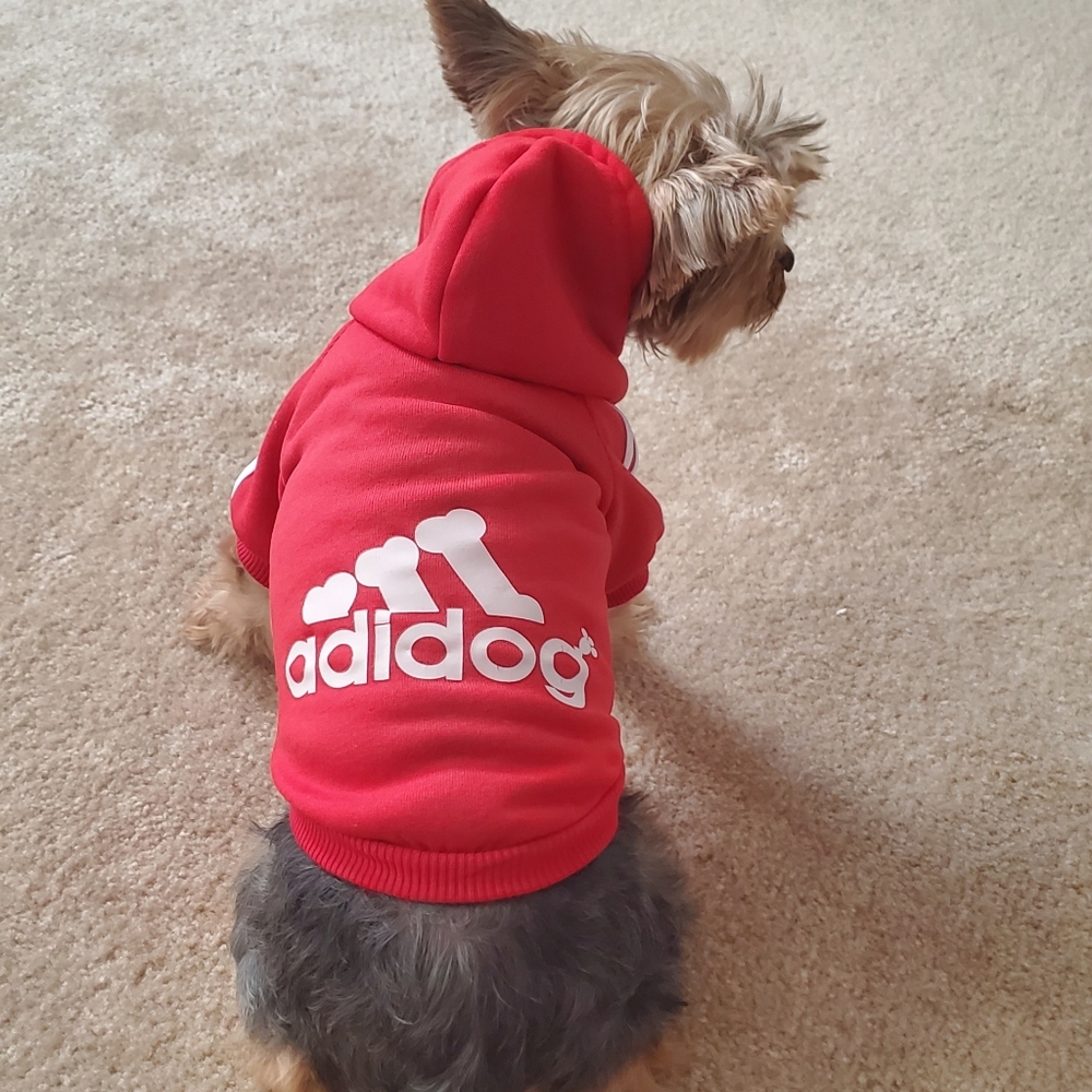β οΈ Doggie adidog sweatshirts - Picture 7 of 8